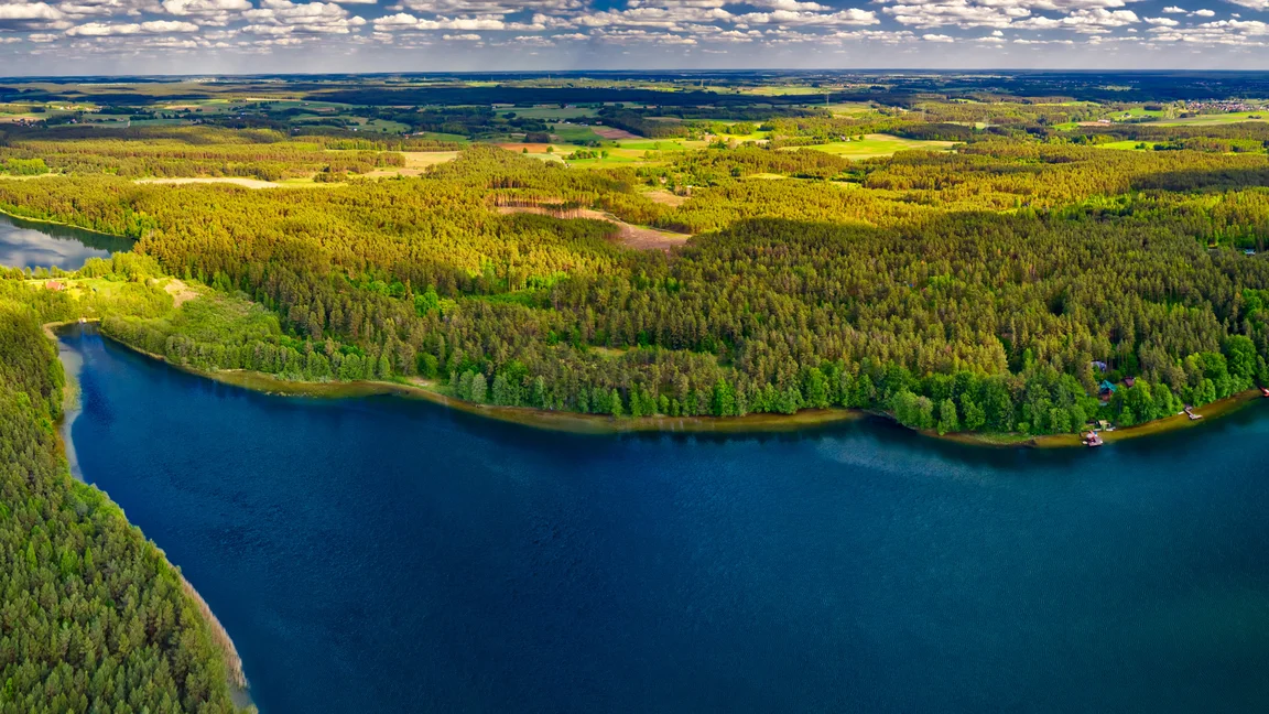 Teren inwestycji w otoczeniu lasu